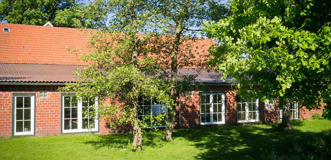 Die Druckwerkstatt Banner